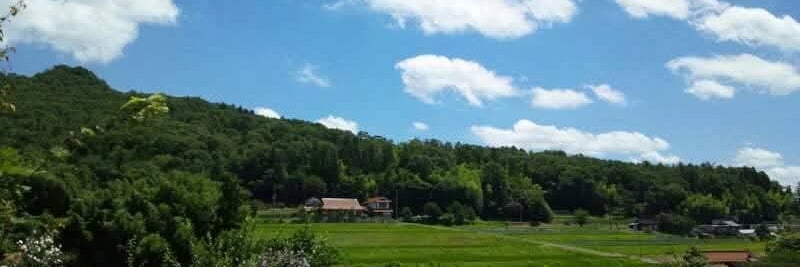 寺川家守の画像