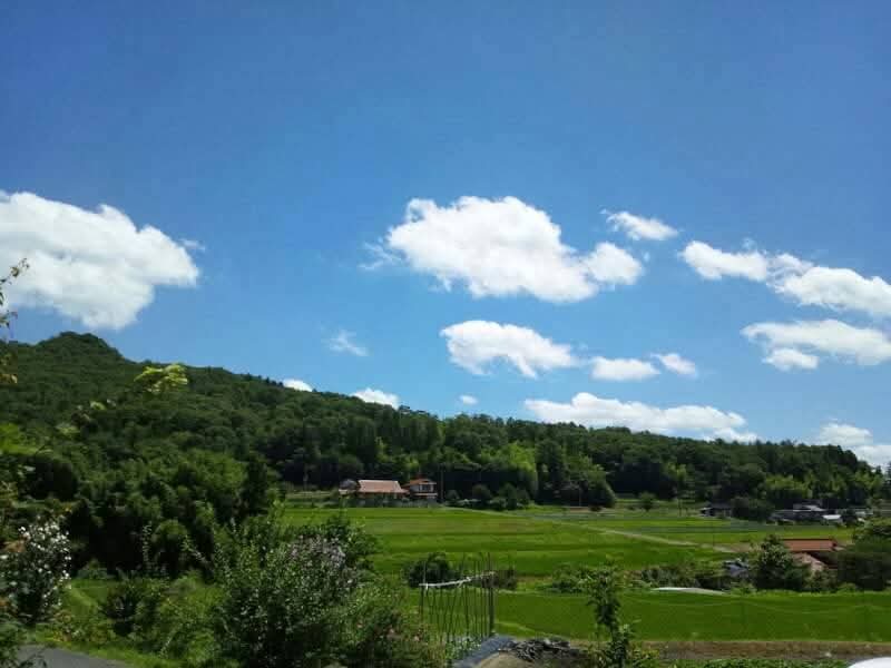 寺川家守の画像